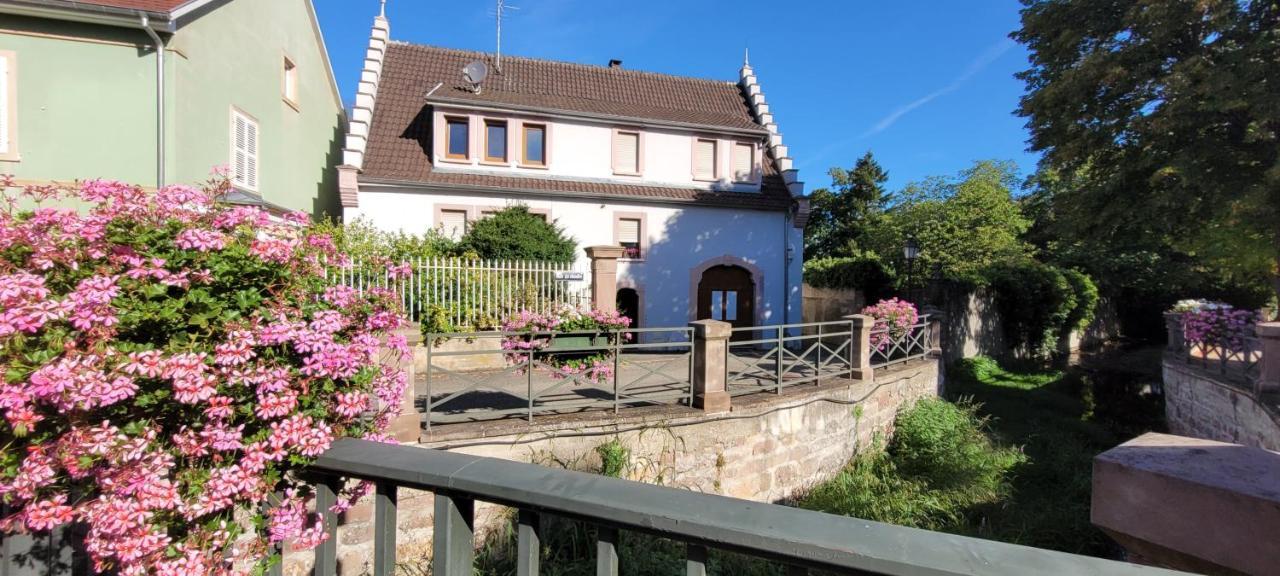 Le Cocon Du Rimbach Apartment Soultz-Haut-Rhin Bagian luar foto