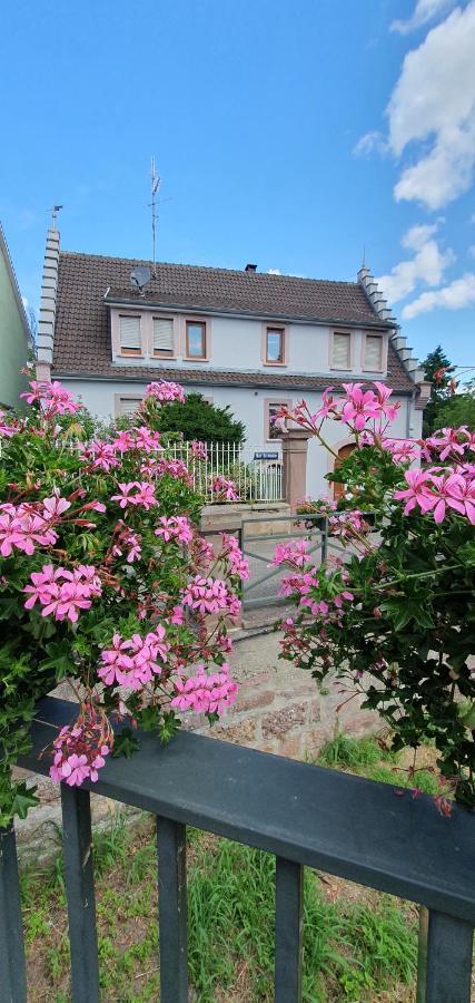 Le Cocon Du Rimbach Apartment Soultz-Haut-Rhin Bagian luar foto